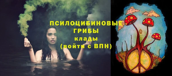 прущие грибы Володарск