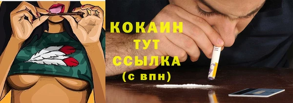 прущие грибы Володарск