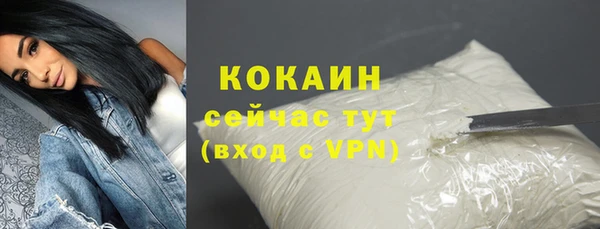 прущие грибы Володарск