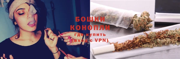 прущие грибы Володарск