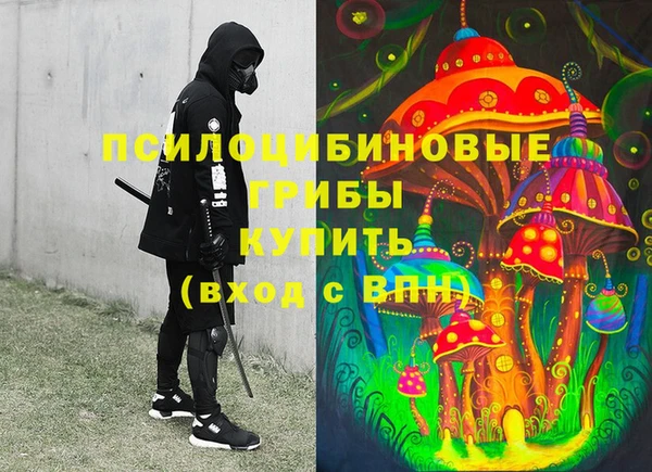 прущие грибы Володарск