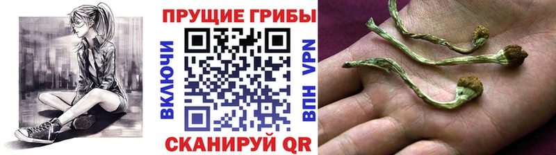 Галлюциногенные грибы MAGIC MUSHROOMS Каневская